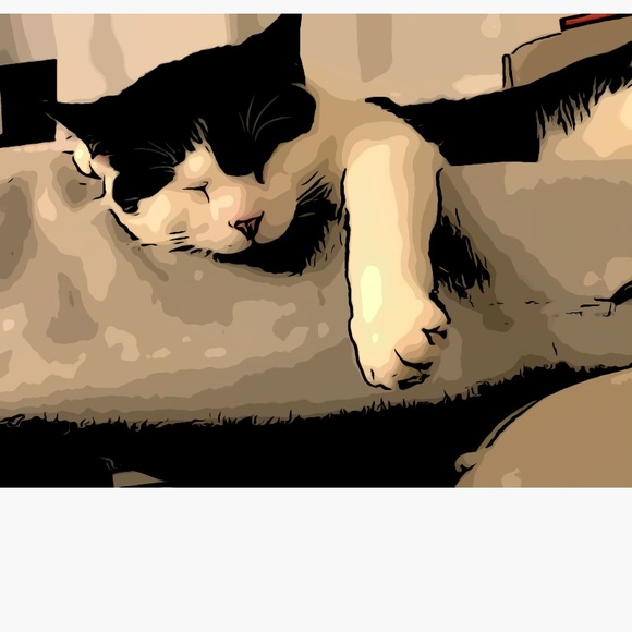 Meet your Posher, Jenny - Picture 1 of 1